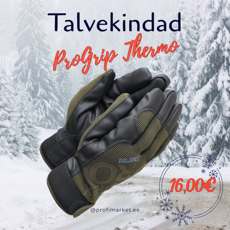 Read more about the article Kuidas valida ideaalsed talvekindad